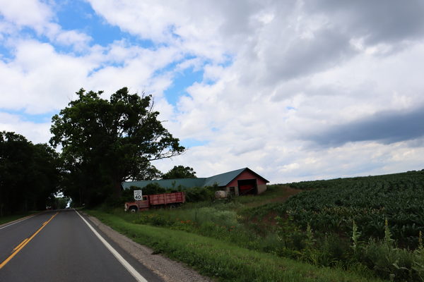 Vestaburg - June 2021 In And Around Vestaburg (newer photo)